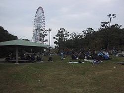 ゴールの葛西臨海公園で昼食